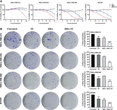 Dihydroartemisinin-Transferrin Adducts Enhance TRAIL-Induced Apoptosis in Triple-Negative Breast Cancer in a P53-Independent and ROS-Dependent Manner